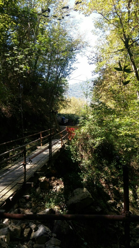 lavori campo tiro agosto 2016 b