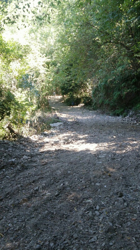 lavori campo tiro agosto 2016 c